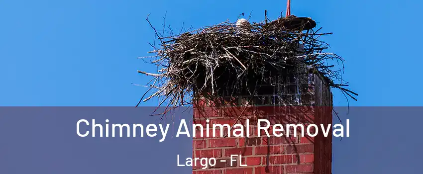  Chimney Animal Removal Largo - FL