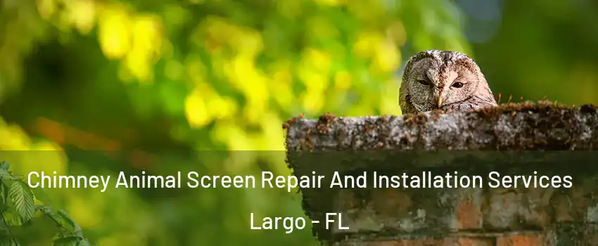  Chimney Animal Screen Repair And Installation Services Largo - FL