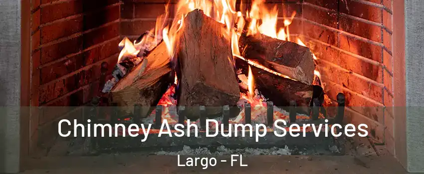  Chimney Ash Dump Services Largo - FL