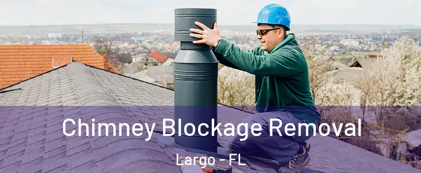  Chimney Blockage Removal Largo - FL