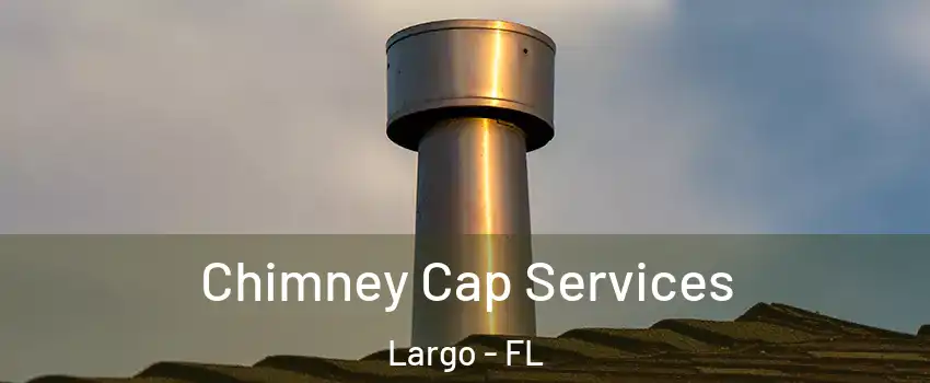 Chimney Cap Services Largo - FL