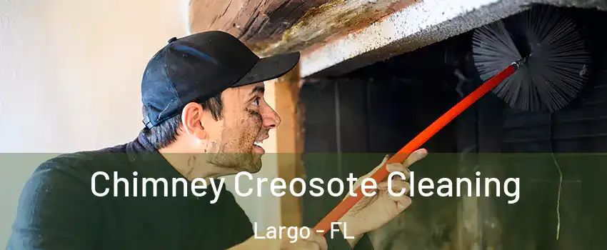  Chimney Creosote Cleaning Largo - FL