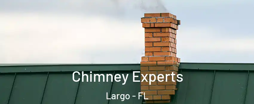  Chimney Experts Largo - FL
