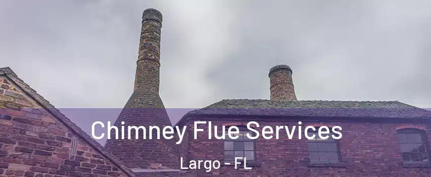 Chimney Flue Services Largo - FL