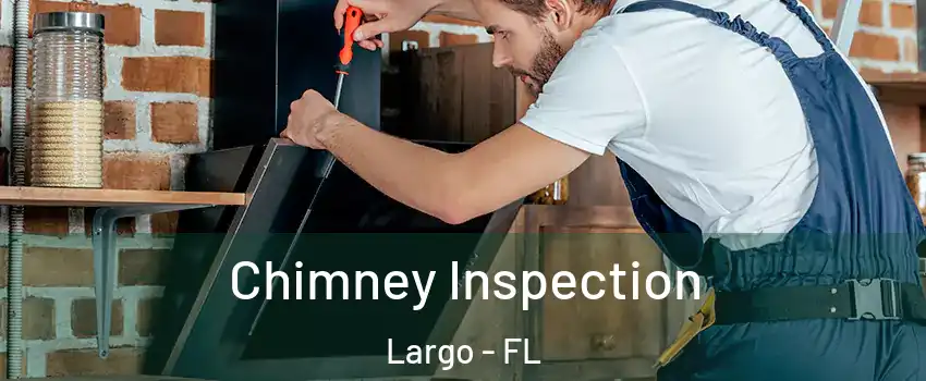  Chimney Inspection Largo - FL