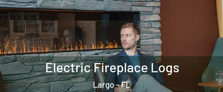  Electric Fireplace Logs Largo - FL