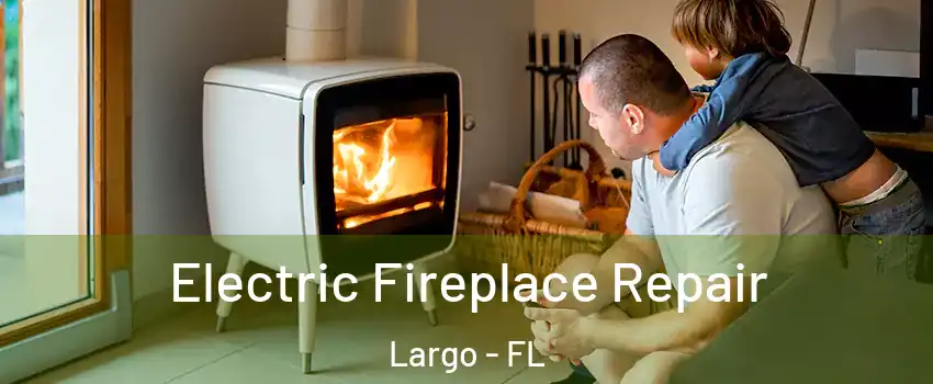  Electric Fireplace Repair Largo - FL