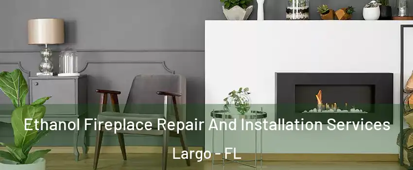  Ethanol Fireplace Repair And Installation Services Largo - FL