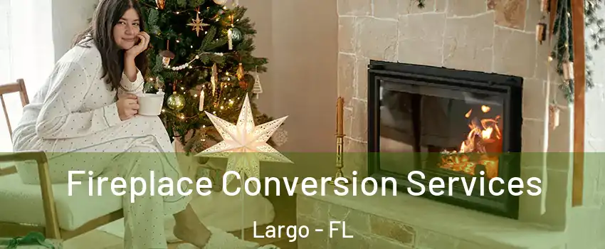  Fireplace Conversion Services Largo - FL