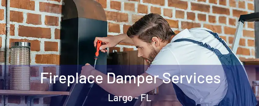  Fireplace Damper Services Largo - FL