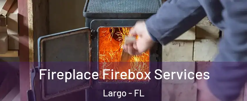  Fireplace Firebox Services Largo - FL