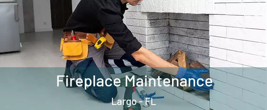  Fireplace Maintenance Largo - FL