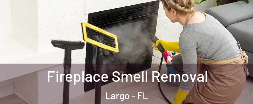  Fireplace Smell Removal Largo - FL