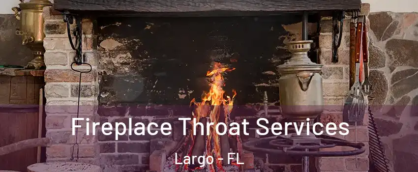  Fireplace Throat Services Largo - FL