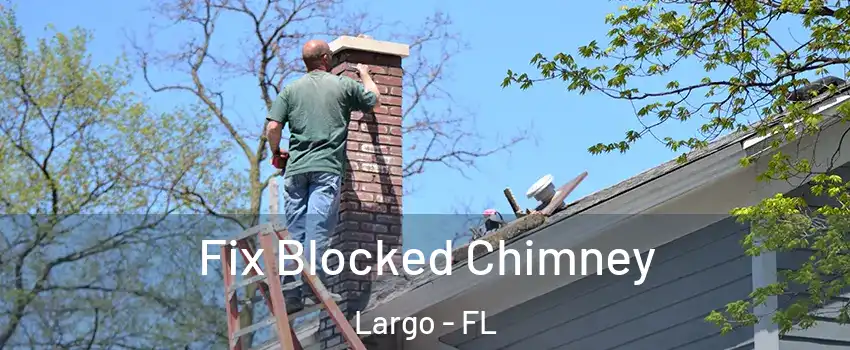  Fix Blocked Chimney Largo - FL