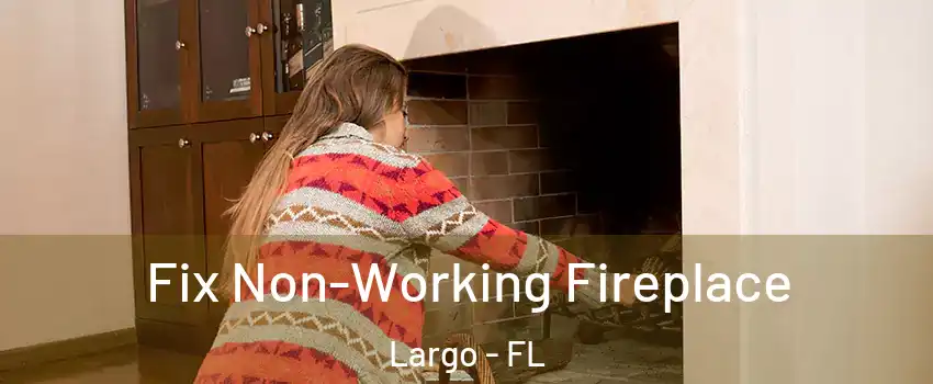  Fix Non-Working Fireplace Largo - FL