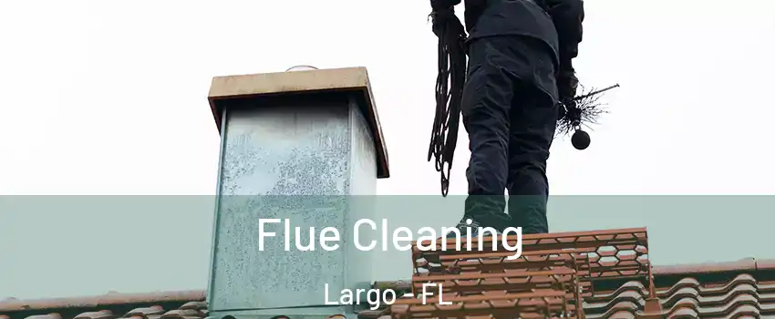  Flue Cleaning Largo - FL