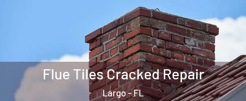  Flue Tiles Cracked Repair Largo - FL