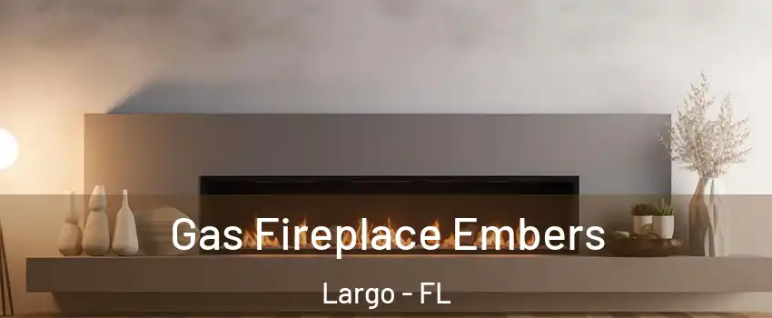  Gas Fireplace Embers Largo - FL