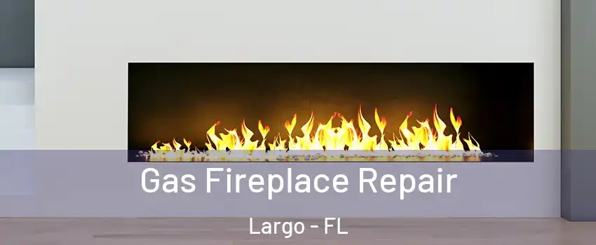  Gas Fireplace Repair Largo - FL