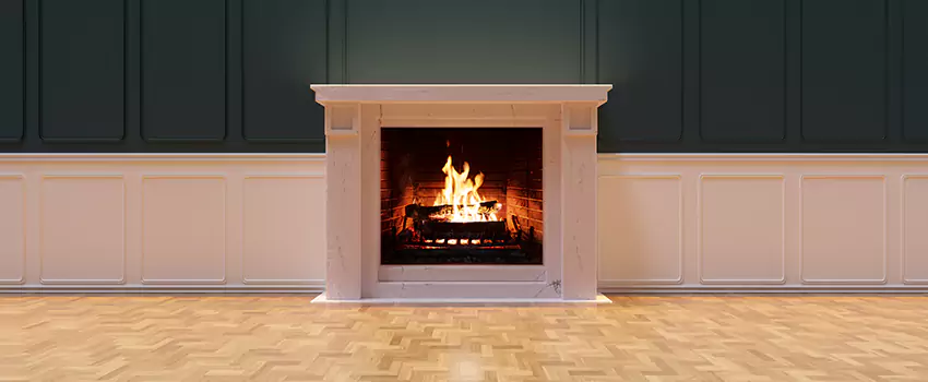 Napoleon Electric Fireplaces Inspection Service in Largo, Florida