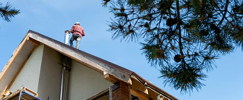 Birds Removal Contractors from Chimney in Largo, FL