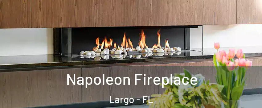  Napoleon Fireplace Largo - FL