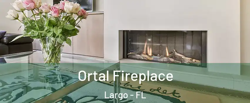  Ortal Fireplace Largo - FL