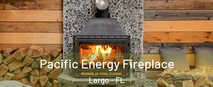  Pacific Energy Fireplace Largo - FL